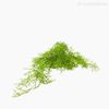 Folhagem Pendente Artificial - Verde Claro (10204)
