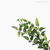 Folhagem Gilbardeira Ruscus Pendente Artificial - Verde (11899)