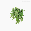 Folhagem Hera LG Holly Artificial - Verde (9887)