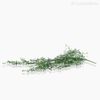 Folhagem Pendente Soleiloria Artificial  - Verde (9988)