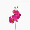 Orquídea Phalaenopsis (P) - BT Artificial - Rosa Escuro (9772)