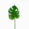Galho Costela de Adão Monstera Leaf (G) Artificial - Verde (9879)