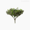 Folhagem Melaleuca Tea Tree Artificial G - Verde (9402)