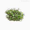 Folhagem Melaleuca Tea Tree Artificial G - Verde (9402)