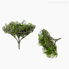 Folhagem Melaleuca Tea Tree Artificial G - Verde (9402)