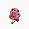 Orquídea Phalaenopsis Artificial - Rosa (12677)