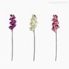 Orquídea Phalaenopsis Artificial - Rosa (12677)