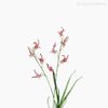 Orquídea Artificial - Rosa (9458)
