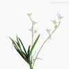 Orquídea Artificial - Branco (9459)