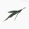 Espada de São Jorge Artificial - Verde Escuro (11163)