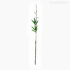 Folha Bambu Japonês X13 Artificial - Verde (9469)