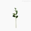 Folha Aderno Phillyrea Artificial - Verde (9802)