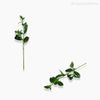 Folha Aderno Phillyrea Artificial - Verde (9802)