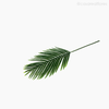 Galho Folha Palmeira Areca M Artificial - Verde Escuro (11145)