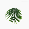 Galho Folha Palmeira Areca M Artificial - Verde Escuro (11145)