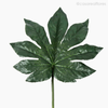 Galho Folha Arália Fatsia Japonica Artificial - Verde Escuro (11137)