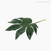 Galho Folha Arália Fatsia Japonica Artificial - Verde Escuro (11137)