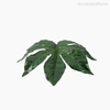 Galho Folha Arália Fatsia Japonica Artificial - Verde Escuro (11137)
