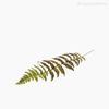 Galho Folha Samambaia Fern Leaf Artificial - Verde (10847)