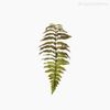 Galho Folha Samambaia Fern Leaf Artificial - Verde (10847)