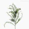Galho Samambaia Acer Fern Artificial - Verde (7815)