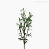 Galho Bambu Artificial - Verde (1554)
