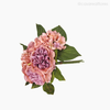 Buquê Misto X6 Artificial - Rosa (11645)