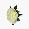 Buquê Rosas X6 com Rafia - Branco (11639)