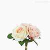 Buquê Rosas X6 com Rafia - Rosa (11828)