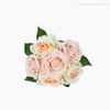 Buquê Rosas X6 com Rafia - Rosa (11828)