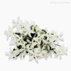 Pick Grama Com Flor Artificial - Branco (5432)