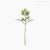 Mini Folhagem Eucalipto Fruit Pick Artificial - Verde (10804)