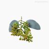 Mini Folhagem Eucalipto Fruit Pick Artificial - Verde (10804)