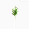 Mini Folhagem Pinheiro Pine Pick Artificial - Verde (10805)