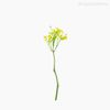 Mini Galho Mosquitinho Bellis Pick Artificial - Amarelo (10828)