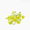 Mini Galho Mosquitinho Bellis Pick Artificial - Amarelo (10828)