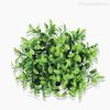 Mini Galho Pick Buxinho Boxwood Com Pó Artificial - Verde (9960)