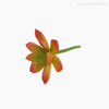 Mini Suculento Artificial - Rosa (11822)