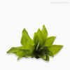 Planta Agave Artificial (P) - Verde (9551)