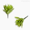 Planta Agave Artificial (P) - Verde (9551)