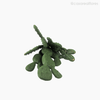 Suculento Artificial - Verde Escuro (11156)