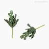Suculento Artificial - Verde Escuro (11156)