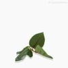 Folha Salal Artificial (P) - Verde (9786)