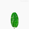 Galho Folha de Bananeira P Artificial - Verde (11875)