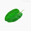 Galho Folha de Bananeira P Artificial - Verde (11875)