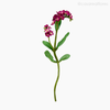Galho Não-Me-Esqueça Forget Me Not Artificial - Rosa (9441)