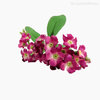 Galho Não-Me-Esqueça Forget Me Not Artificial - Rosa (9441)