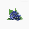 Galho Hortênsia Artificial - Azul (9255)