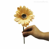 Daisy Gérbera (L) Artificial - Creme (10538)
