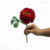 Galho Ranúnculo Artificial - Vermelho (10044)